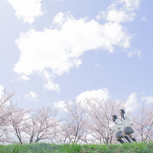 蜂駆除を埼玉で行うなら安心のハチハンターにお任せください