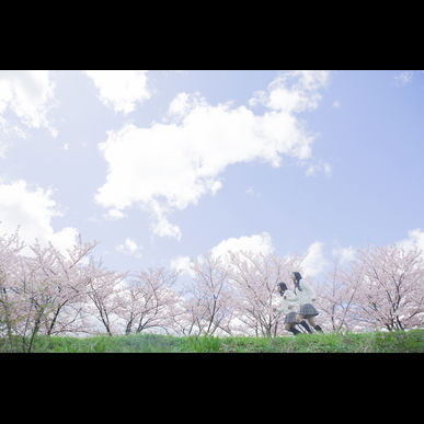 蜂駆除を埼玉で行うなら安心のハチハンターにお任せください